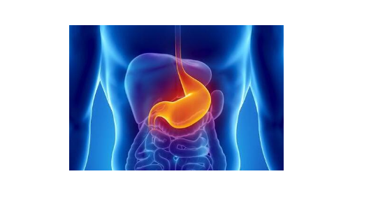 萎縮性胃炎怎么治療，以下內容來告訴你